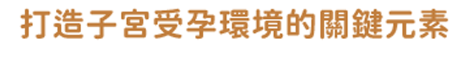 打造子宮受孕環境的關鍵元素